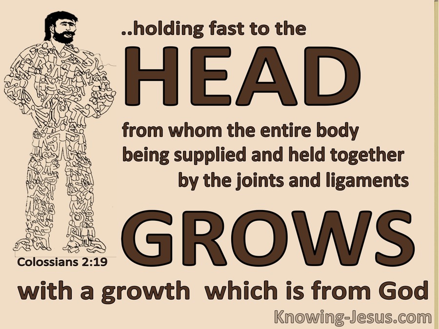 Colossians 2:19 The Body Holds Fast To The Head (brown)